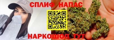гидра Краснодар