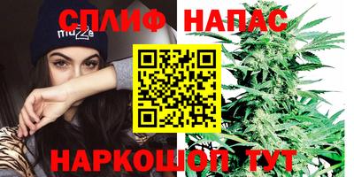 гидра Краснодар