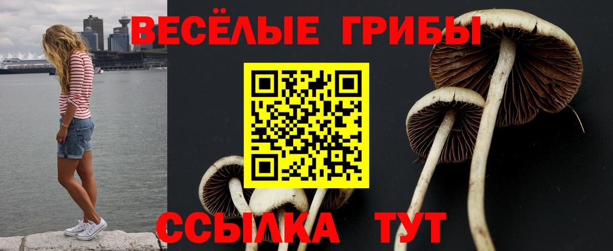 Псилоцибиновые грибы ЛСД  Вход с VPN  Галлюциногенные грибы MAGIC MUSHROOMS  Малгобек 