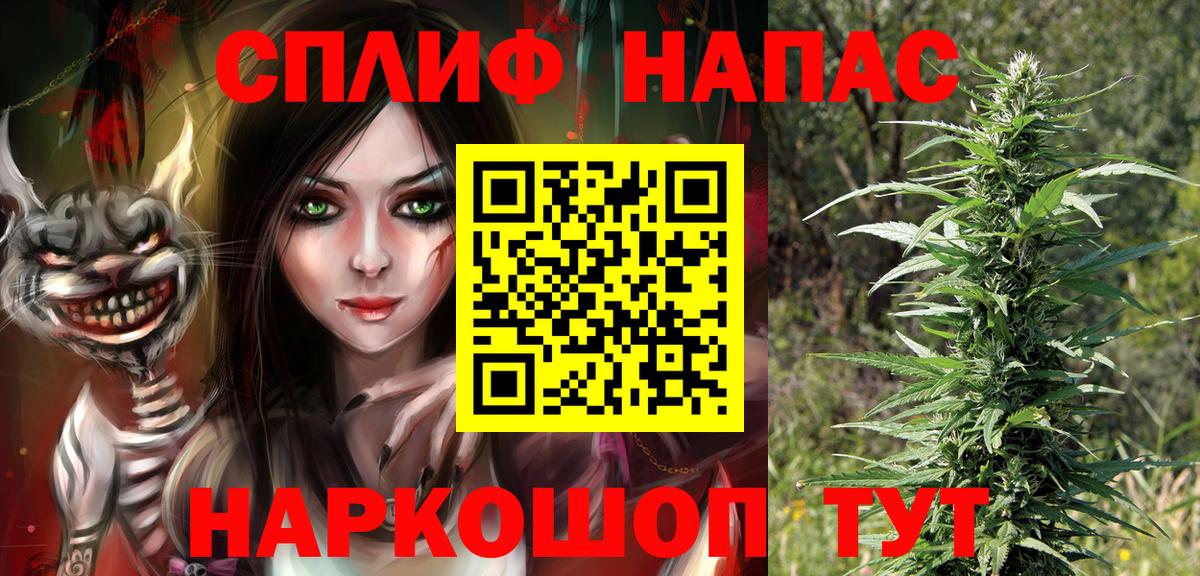 Конопля план Малгобек